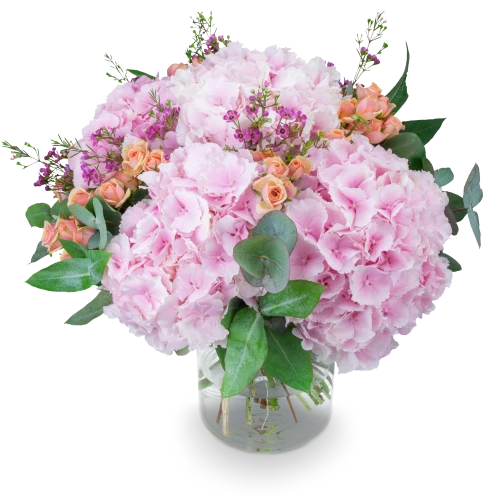 A bouquet of hydrangeas